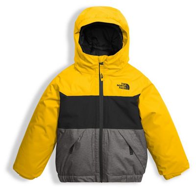 toddler boy north face coat