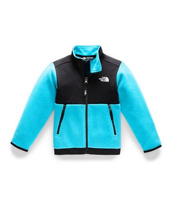 2t north face denali jacket