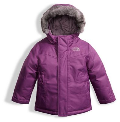 the north face toddler girls greenland down parkaThe North Face