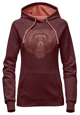 north face bear sweatshirt