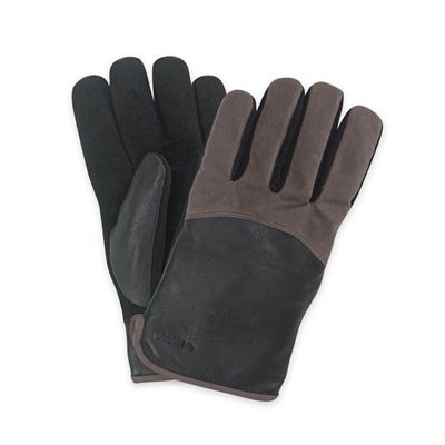 Pistil Men's Ridge Glove