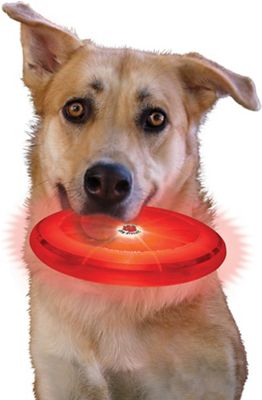 Disc-O