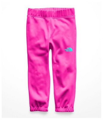 the north face surgent pants