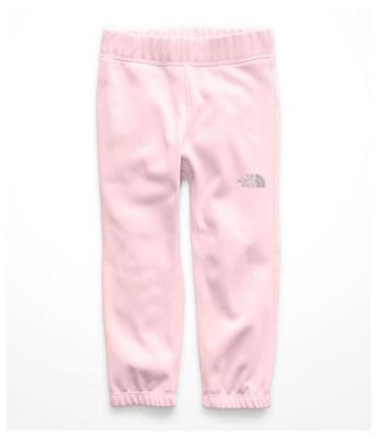 the north face surgent pants