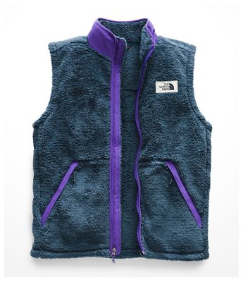 north face mens campshire vest