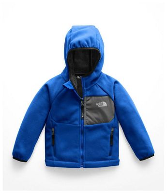 the north face toddler's boys chimborazo hoodie