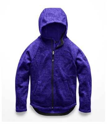 north face indi fleece