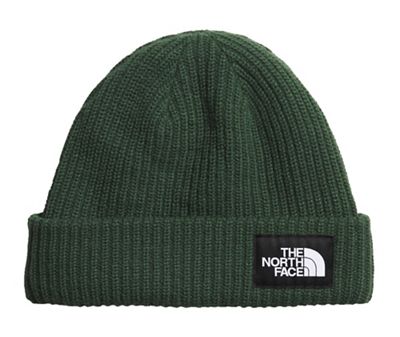 the north face beanie green