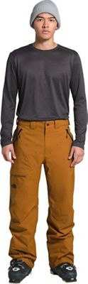 north face men's seymore pants