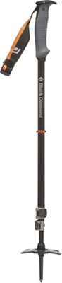 ski pole whippet