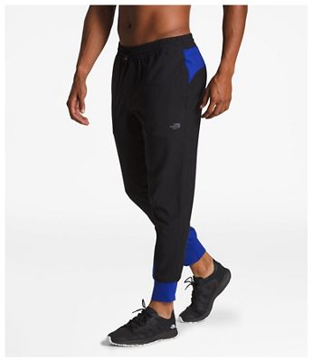 the north face ambition pants