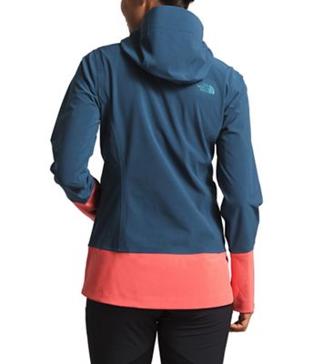the north face women's apex flex dryvent jacket