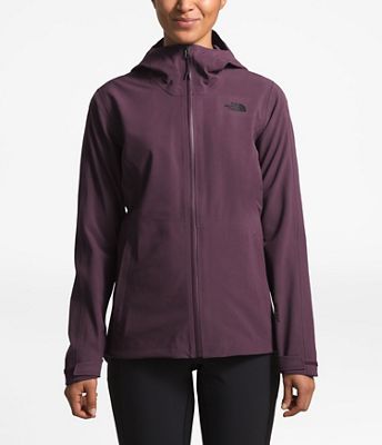 the north face women's apex
