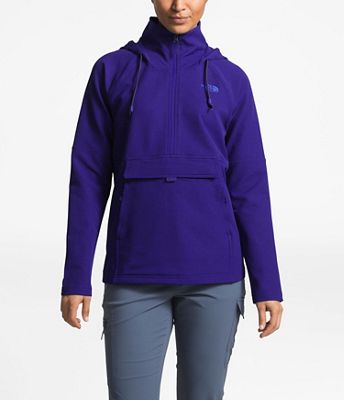 the north face women's tekno full zip hoodie