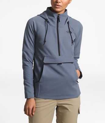 the north face women's tekno ridge hoodie