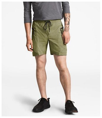 mens cargo shorts north face