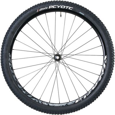 Vittoria Peyote Tire