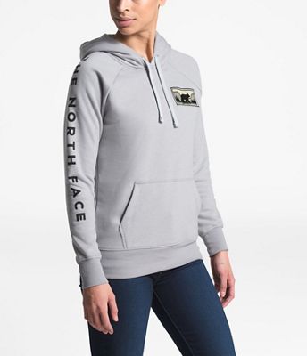 the north face women's bottle source pullover hoodie