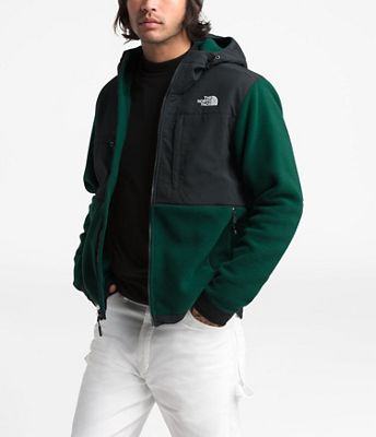 the north face men's denali 2 hooded fleece jacket