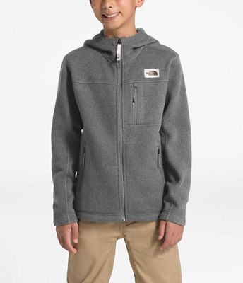 the north face gordon lyons hooded fleece jacket