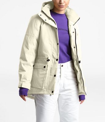 the north face down parka