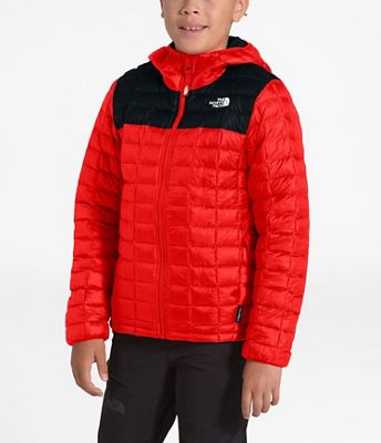 the north face boys thermoball hoodie
