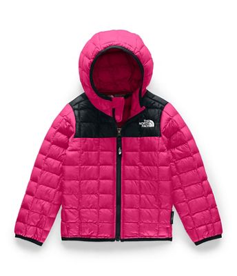 the north face toddler thermoball hoodie