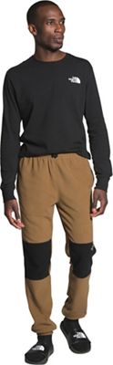 north face glacier pant