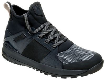mammut falera pro