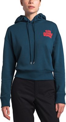 the north face cropped hoodie