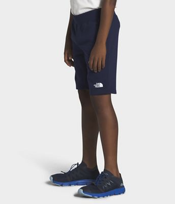 the north face fleece shorts