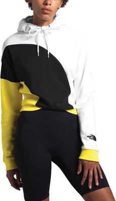 the north face men's luminous flux pullover hoodie