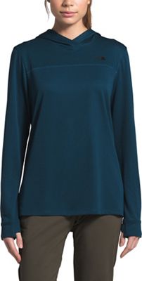 north dome pullover hoodie