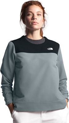 the north face women's tekno ridge hoodie