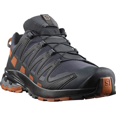 Salomon Men's XA Pro 3D V8 GTX Shoe - Moosejaw