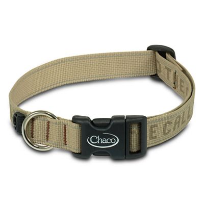 The Trendsetter Breakaway Cat Collar