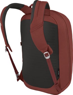 Acorn Red