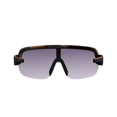 Tortoise Brown