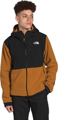 the north face denali 2 hoodie