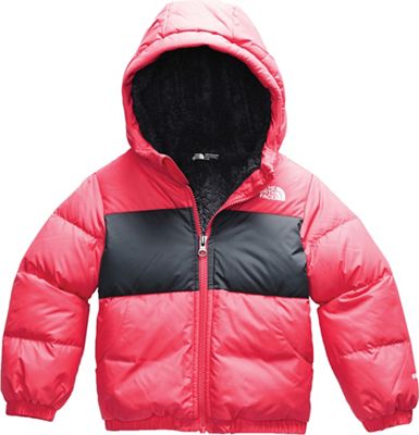 The North Face Toddler Moondoggy Hoodie 