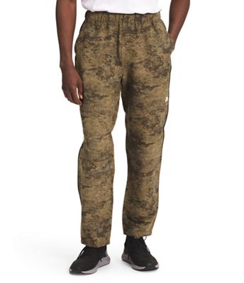 The North Face Men's Class V Pant