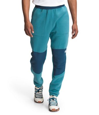 The North Face Men's Denali 2 Pant - Moosejaw