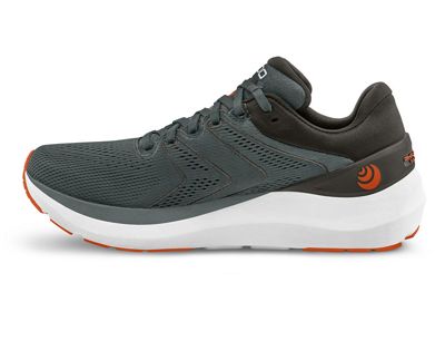 Grey / Clay