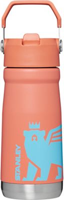 STANLEY The IceFlow 30 oz Flip Straw Tumbler - Eastern Mountain Sports