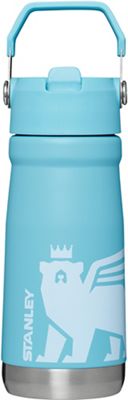  STANLEY IceFlow Stainless Steel Water Bottle with