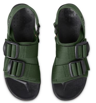 Cedar Green
