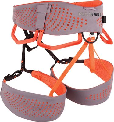 Shark / Safety Orange