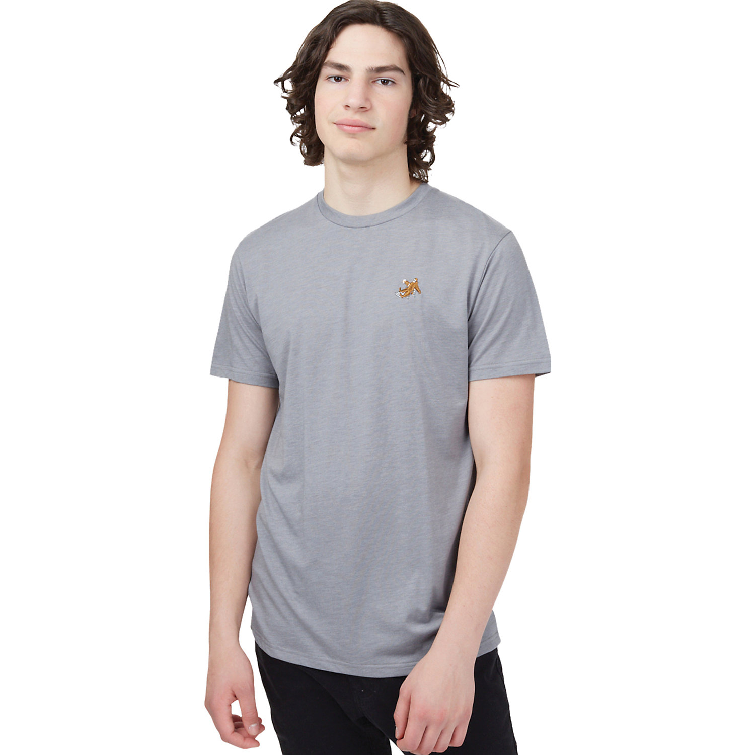 Tentree Mens Sasquatch T-Shirt