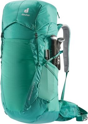 Fern / Alpinegreen