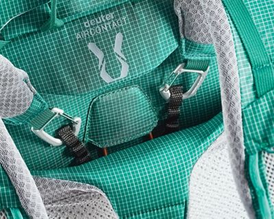 Fern / Alpinegreen